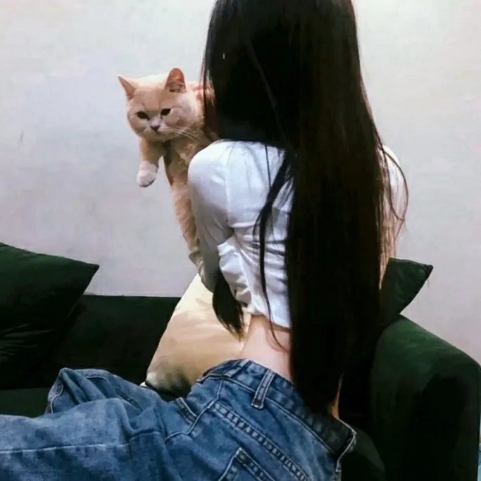 小熊维尼寻找罗宾