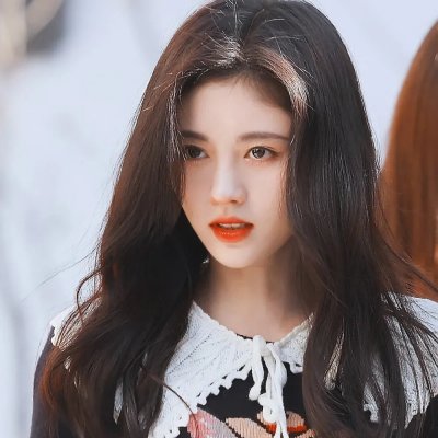 雪豹2023
